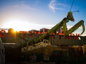 Praying-mantis at the Container Park - Downtown Las Vegas (Night)