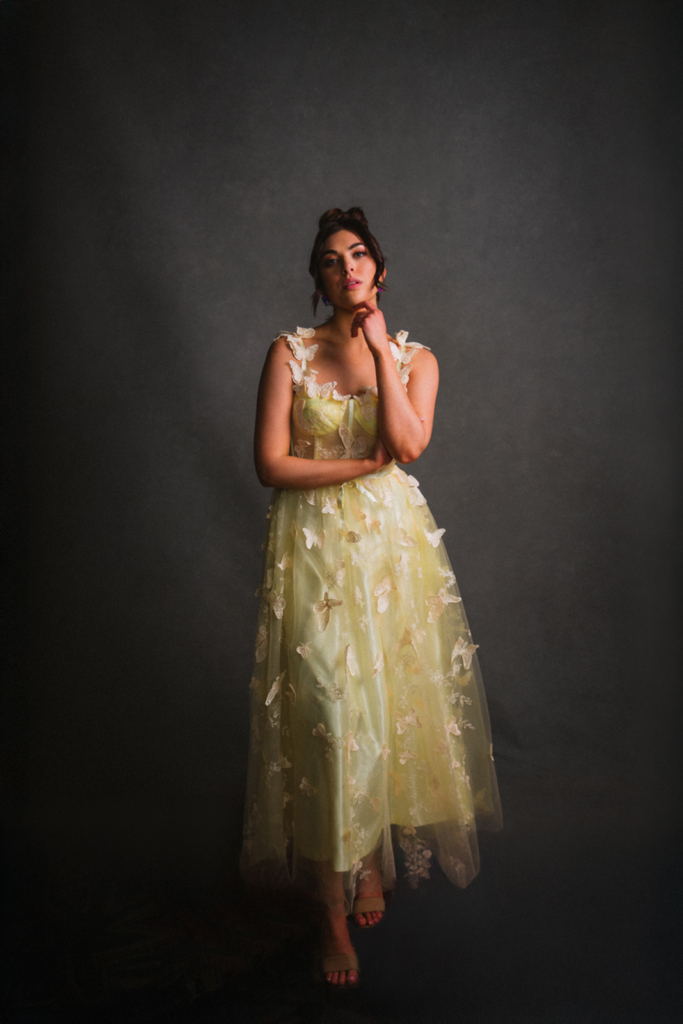 Custom Painted Canvas Backdrop Studio Photography